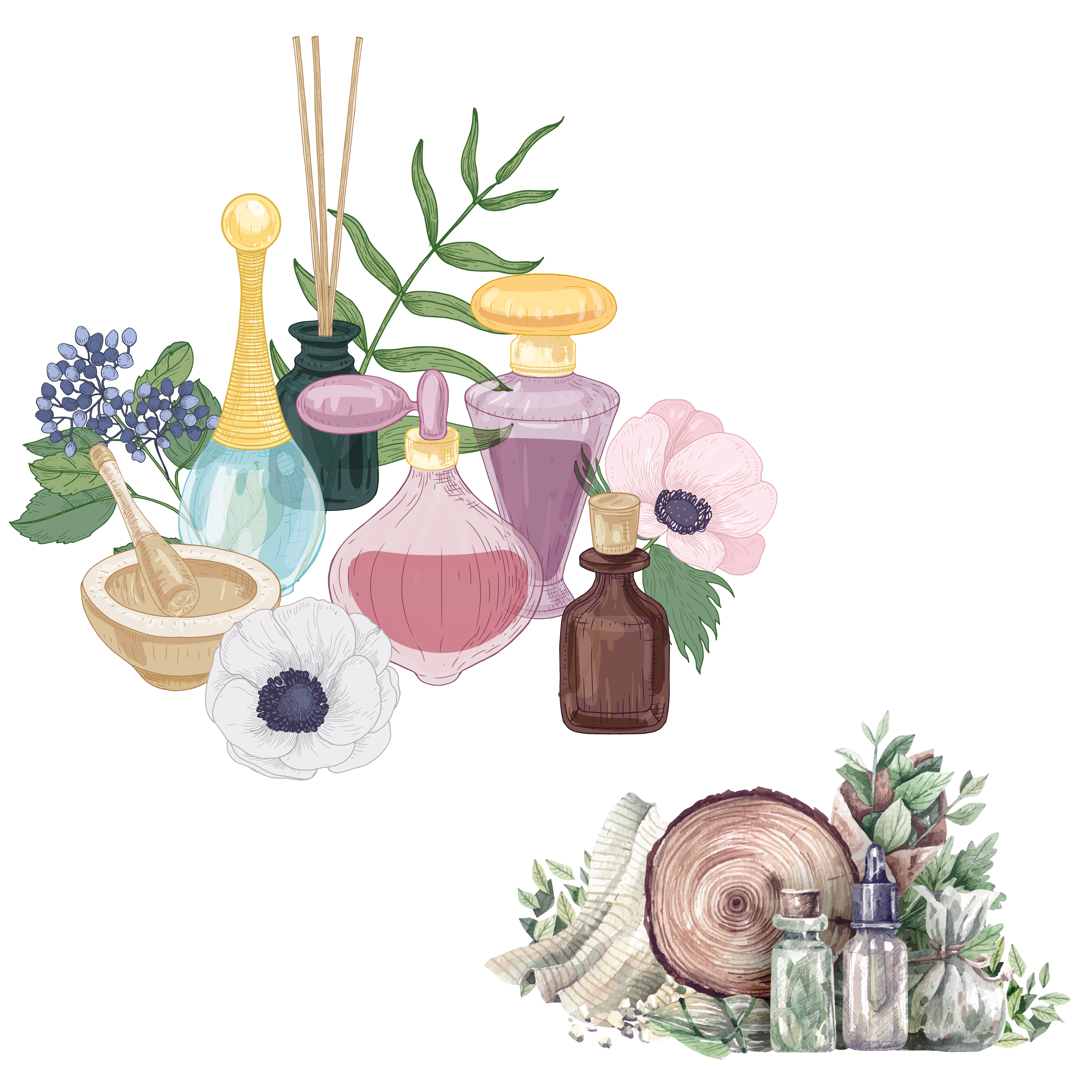 Aromaterapi Eğitimi 1 aromaterapi banner 02 1