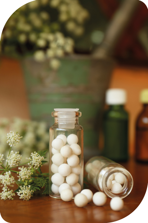 Anasayfa 1 anasayfa 04