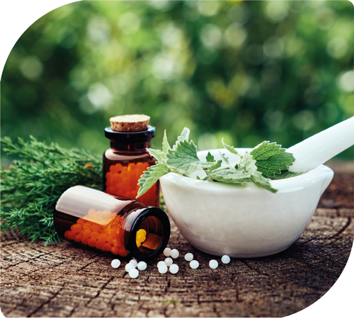 Anasayfa 2 anasayfa 05